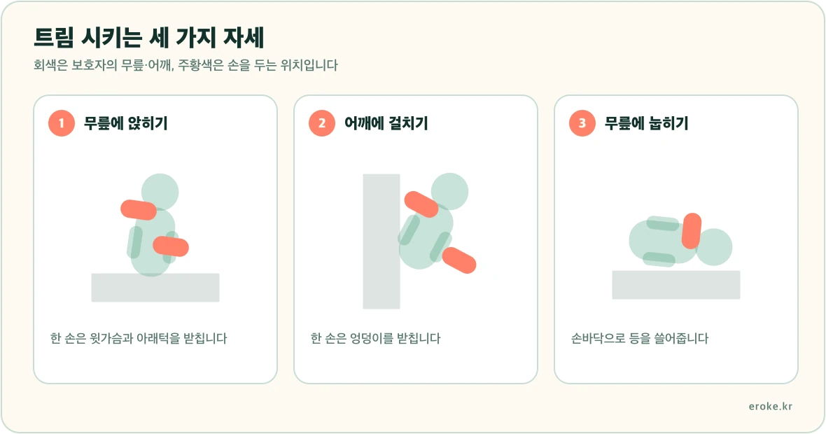무릎에 앉히기, 어깨에 걸치기, 무릎에 눕히기 세 가지 트림 자세와 손을 두는 위치를 표시한 그림