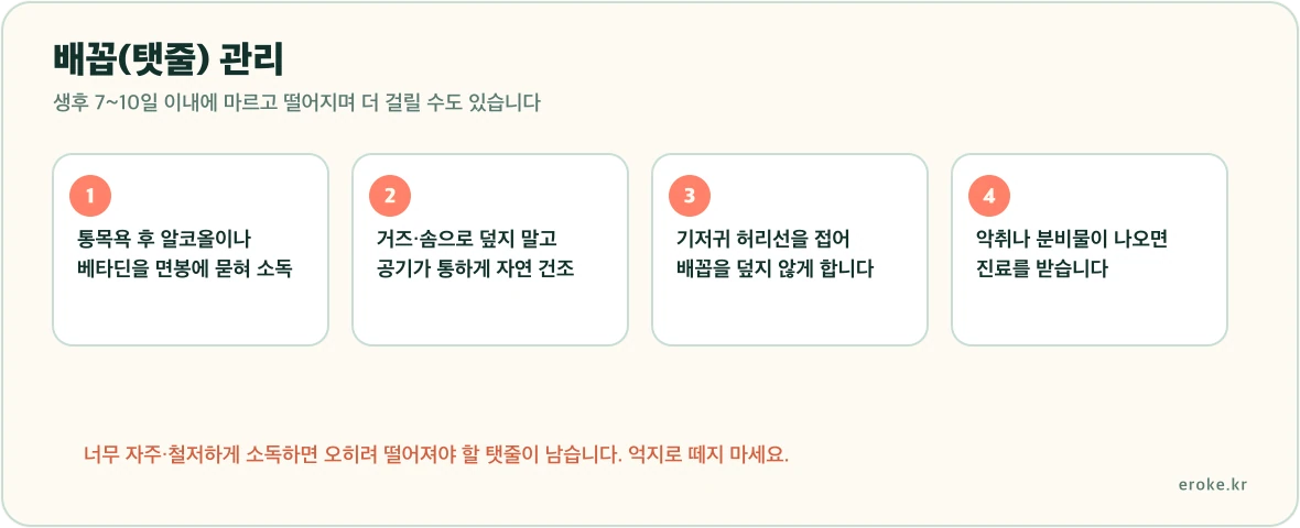 배꼽 소독, 자연 건조, 기저귀 접어 내리기, 진료가 필요한 신호를 정리한 그림