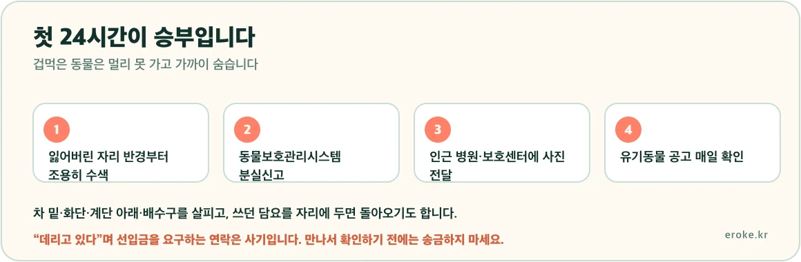 반려동물 분실 시 주변 수색, 국가동물보호정보시스템 분실신고, 유기동물 공고 매일 확인, 인근 병원과 보호센터 연락 순서로 대응한다는 흐름을 표시한 그림